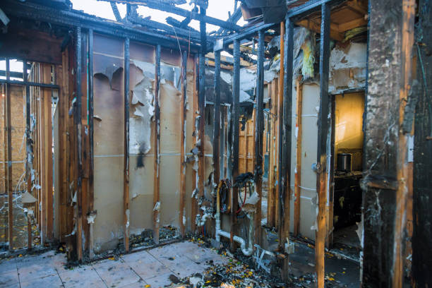 Professional Fire Damage Assessment technician working in Lincoln Park, NJ
